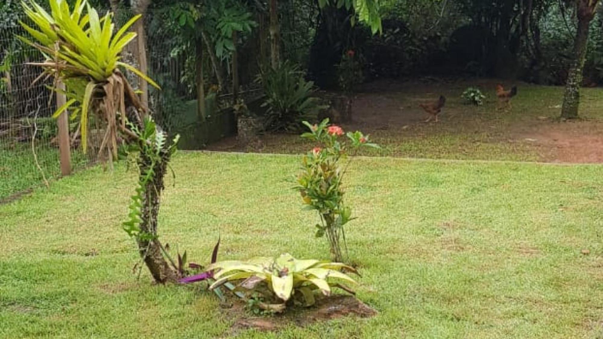 Casa de Férias Recanto Mirim Paraty